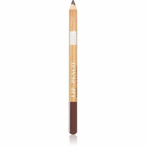 Astra Make-up Pure Beauty Lip Pencil kontúrovacia ceruzka na pery natural odtieň 02 Bamboo 1, 1 g vyobraziť