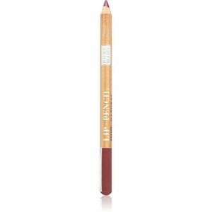 Astra Make-up Pure Beauty Lip Pencil kontúrovacia ceruzka na pery natural odtieň 06 Cherry Tree 1, 1 g vyobraziť