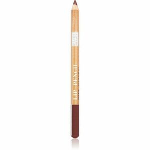 Astra Make-up Pure Beauty Lip Pencil kontúrovacia ceruzka na pery natural odtieň 03 Maple 1, 1 g vyobraziť