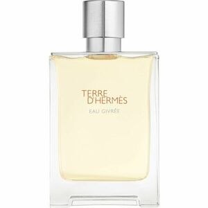 HERMÈS Terre d’Hermès Eau Givrée parfumovaná voda pre mužov 100 ml vyobraziť