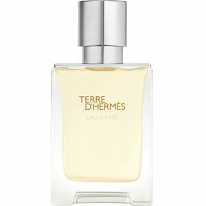 HERMÈS Terre d’Hermès Eau Givrée parfumovaná voda pre mužov 50 ml vyobraziť