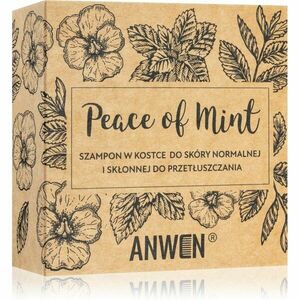 Anwen Peace of Mint tuhý šampón in alu can 75 g vyobraziť