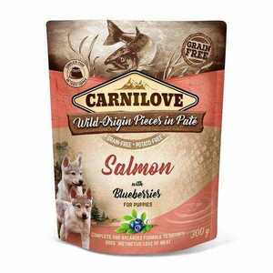 Carnilove Kapsička Dog Paté Salmon With Blueberries For Puppies 300g vyobraziť