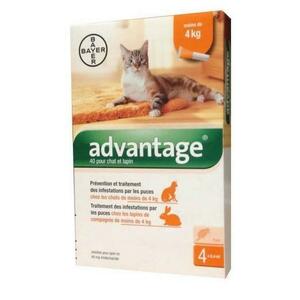Advantage S.O. Antiparazitikum Mačka Do 4kg 4×0, 4ml vyobraziť
