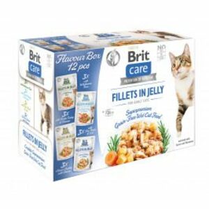 Brit Care Cat Flavour Box Fillet In Jelly 12×85 g vyobraziť
