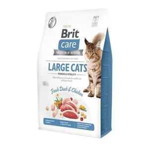Brit Care Cat Grain-Free Large Cats 2kg vyobraziť