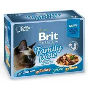 Brit Premium Cat Delicate Fillets In Gravy Family Plate 1020g (12×85g) vyobraziť