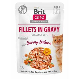 Brit Kapsička Care Cat Fillets In Gravy Savory Salmon 85g vyobraziť