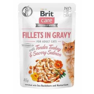 Brit Kapsička Care Cat Fillets In Gravy turkey & Savory Salmon 85g vyobraziť