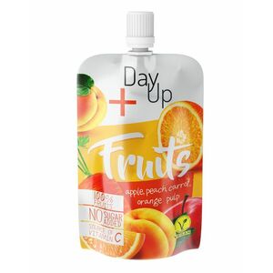 DayUp Fruits Orange PO 100G vyobraziť