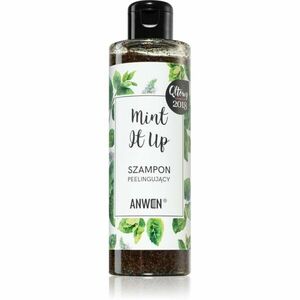 Anwen Mint It Up exfoliačný šampón 200 ml vyobraziť