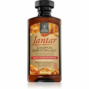 Farmona Jantar High Porosity Hair vyživujúci šampón na lesk a hebkosť vlasov 330 ml vyobraziť