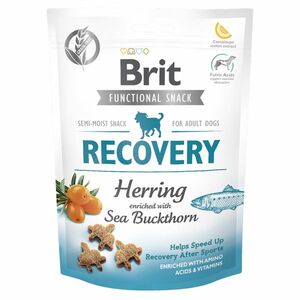 BRIT Care Dog Functional Snack Recovery Herring sleď s rakytníkom pre psov 150 g vyobraziť