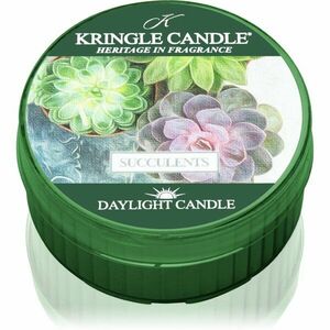 Kringle Candle Succulents čajová sviečka 42 g vyobraziť