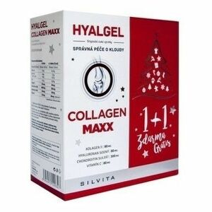 HYALGEL Collagen maxx vianočné balenie 500 + 500 ml vyobraziť