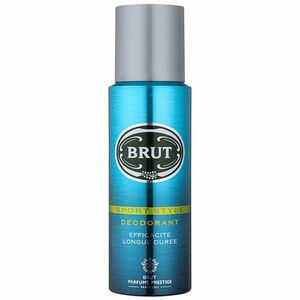 Brut Brut Sport Style dezodorant v spreji pre mužov 200 ml vyobraziť
