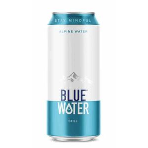 Blue Water nesýtená voda 500ml v plechovke vyobraziť