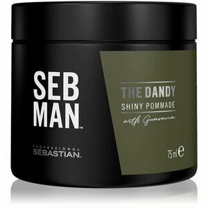 Sebastian Professional SEB MAN The Dandy pomáda na vlasy pre prirodzenú fixáciu 75 ml vyobraziť