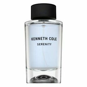 Kenneth Cole Serenity toaletná voda pre mužov 100 ml vyobraziť