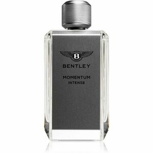 Bentley Momentum Intense parfumovaná voda pre mužov 100 ml vyobraziť