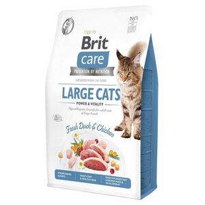 BRIT Care Cat Large cats Power Vitality granule pre veľké mačky 1 ks, Hmotnosť balenia: 2 kg vyobraziť