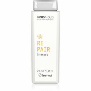 Framesi Morphosis Repair obnovujúci šampón pre suché, namáhané vlasy 250 ml vyobraziť