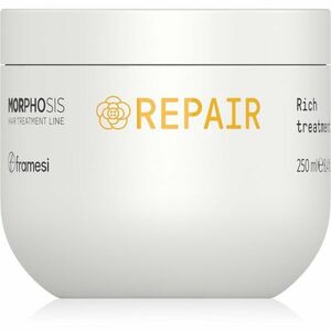 Framesi Morphosis Repair regeneračná maska na vlasy pre poškodené vlasy 250 ml vyobraziť