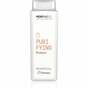 Framesi Morphosis Purifying čistiaci šampón proti lupinám 250 ml vyobraziť
