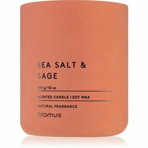 Blomus Fraga Sea Salt & Sag vonná sviečka 290 g vyobraziť
