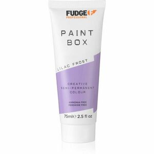 Fudge Paintbox semi-permanentná farba na vlasy odtieň Lilac Frost 75 ml vyobraziť