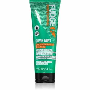 Fudge Clean Mint Shampoo šampón na mastné vlasy 250 ml vyobraziť