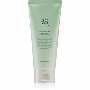 Beauty Of Joseon Green Plum Refreshing Cleanser jemný čistiaci penivý krém s hydratačným účinkom 100 ml vyobraziť