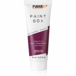 Fudge Paintbox semi-permanentná farba na vlasy odtieň Raspberry Beret 75 ml vyobraziť