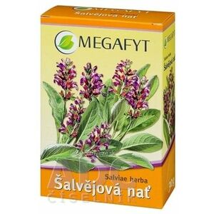MEGAFYT BL Šalviová vňať bylinný čaj 1x30 g vyobraziť