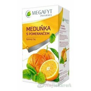 MEGAFYT Medovka s pomarančom, 20x2g (40g) vyobraziť