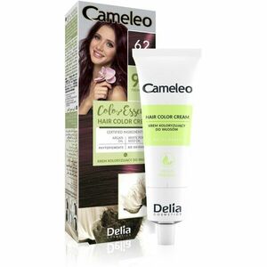 Delia Cosmetics Cameleo Color Essence farba na vlasy v tube odtieň 6.2 Burgundy 75 g vyobraziť