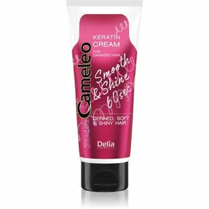 Delia Cosmetics Cameleo Smooth & Shine 60 sec krém na vlasy na lesk a hebkosť vlasov 250 ml vyobraziť