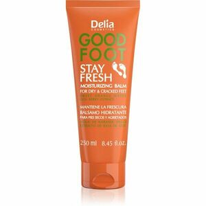 Delia Cosmetics Good Foot Stay Fresh hydratačný balzam na nohy 250 ml vyobraziť