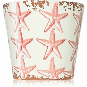 Wax Design Starfish Seabed vonná sviečka 14x12, 5 cm vyobraziť