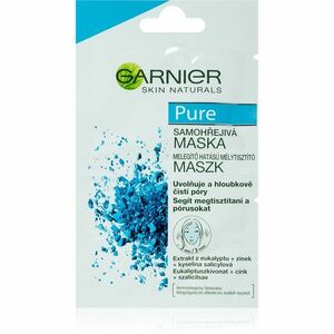 Garnier Pure pleťová maska pre problematickú pleť, akné 2x6 ml vyobraziť