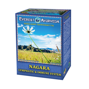 EVEREST AYURVEDA Nagara lymfatický systém a imunita sypaný čaj 100 g vyobraziť