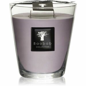 Baobab Collection All Seasons White Rhino vonná sviečka 16 cm vyobraziť