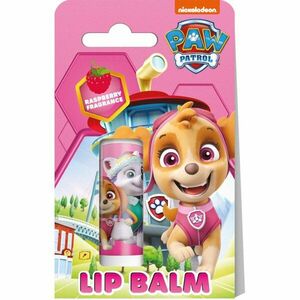Nickelodeon Paw Patrol Lip Balm balzam na pery pre deti Raspberry 4, 4 g vyobraziť