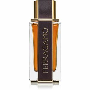 Salvatore Ferragamo Ferragamo Spicy Leather parfumovaná voda pre mužov 100 ml vyobraziť