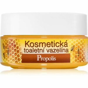 Bione Cosmetics Honey + Q10 kozmetická vazelína 155 ml vyobraziť