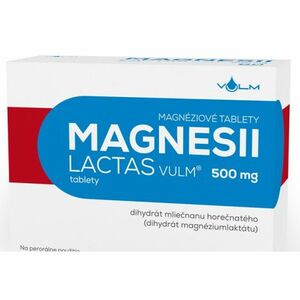 Vulm Magnesii lactas 500 mg 60 tbl vyobraziť