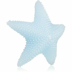 Rivièra Maison Starfish dekoratívna sviečka farba Light Blue 190 g vyobraziť