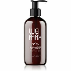 WellMax Šampón pre mastné vlasy bylinný šampón 250 ml vyobraziť