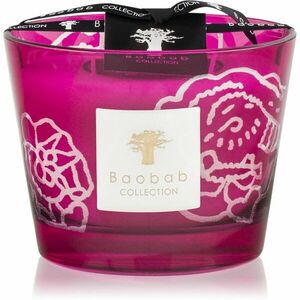 Baobab Collection Collectible Roses Burgundy vonná sviečka 10 cm vyobraziť