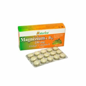 Naturica MAGNEZIUM 250 mg+B6+Ginkgo+vitamín E 30 tbl vyobraziť